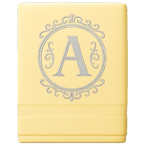 Copilot_20250721_123423-removebg-preview